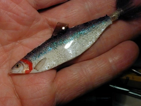 Photopaper baitfish Photopaper baitfish