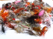 Flies galore! Flies galore!