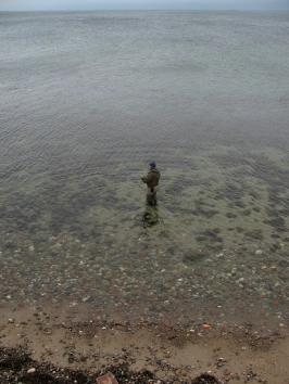 In the spot In the spot