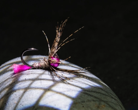Overhead light through a gobo Overhead light through a gobo