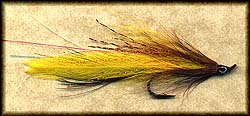 MORNING GLORY DECEIVER Image