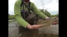 Video thumb for Guide's Day Off