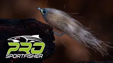 Video thumb for Salty Baby Baitfish