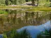 Computer screen wallpaper: Southwestern Colorado