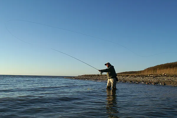 The cast - A good casting routine is always a key to succesful and relaxing fishing.<br>
And yes, this is January... one of the coldest months of the year in this part of the world.
