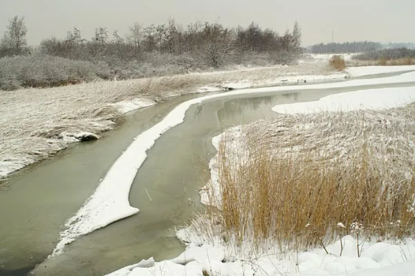 Frozen stream - This slowly running Danish stream has porridge ice on the surface.